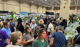 IMG_2930 (2).jpeg