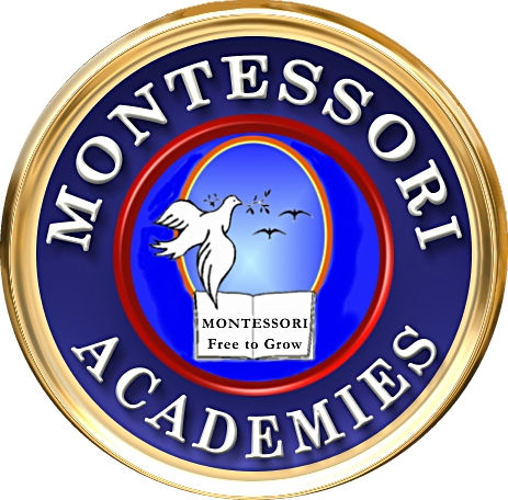 Montessori Academies of New Tampa