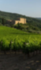 castle_crop.jpeg