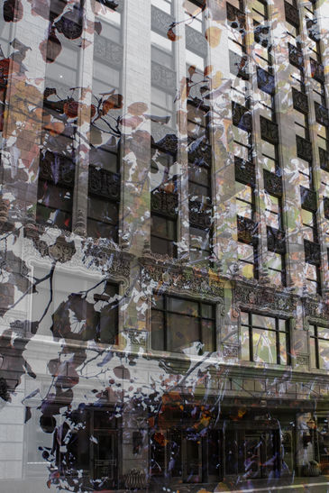 A photograph of a building with plants overlaying it.