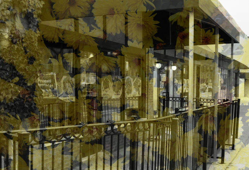 A photograph of a restaurant with plants overlaying it.