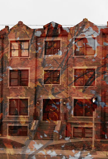 A photograph of a building with plants overlaying it.