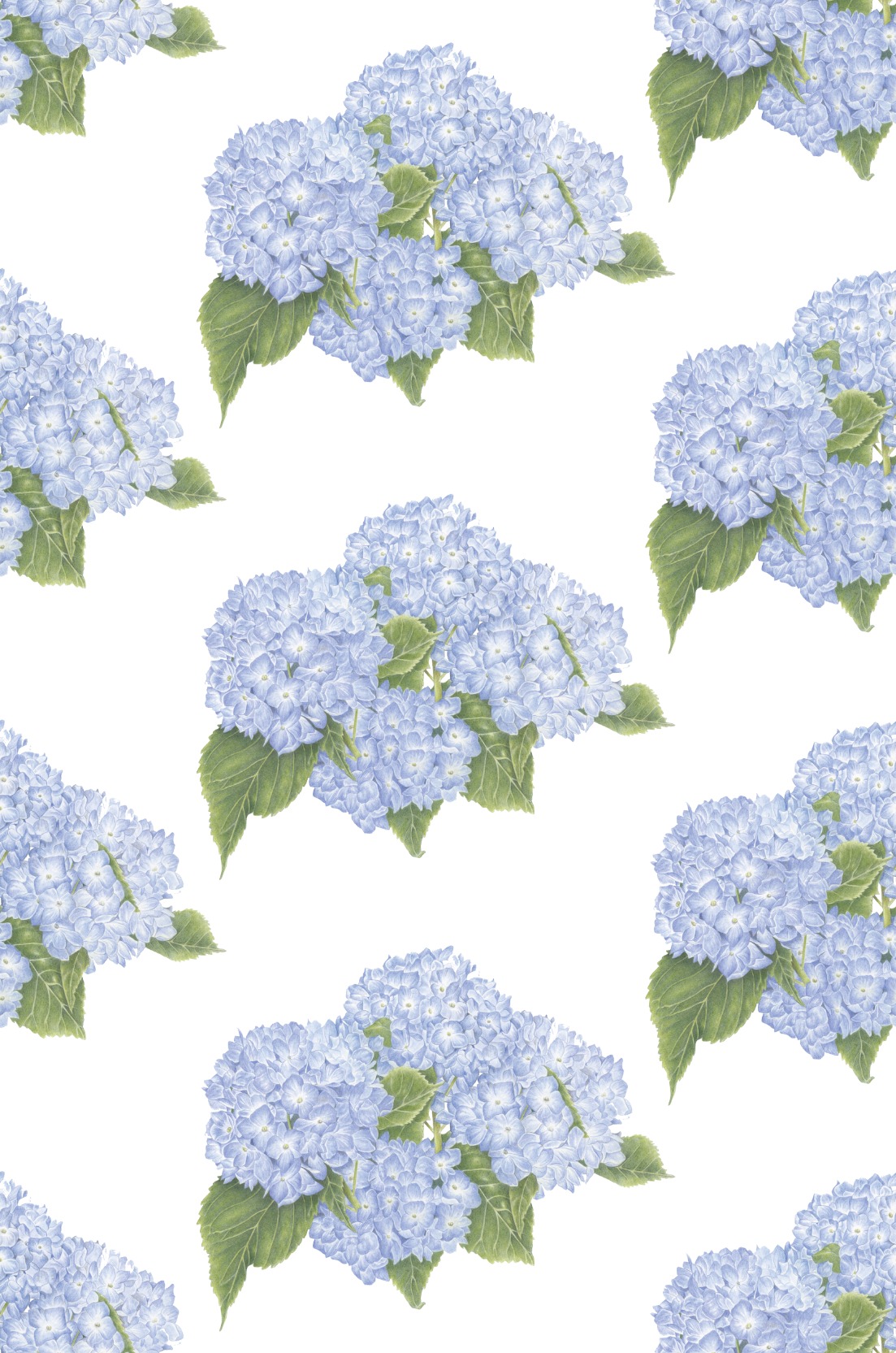 Hydrangea Garden