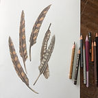 Drawing Found Objects.jpeg