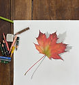 Fall leaves.jpg