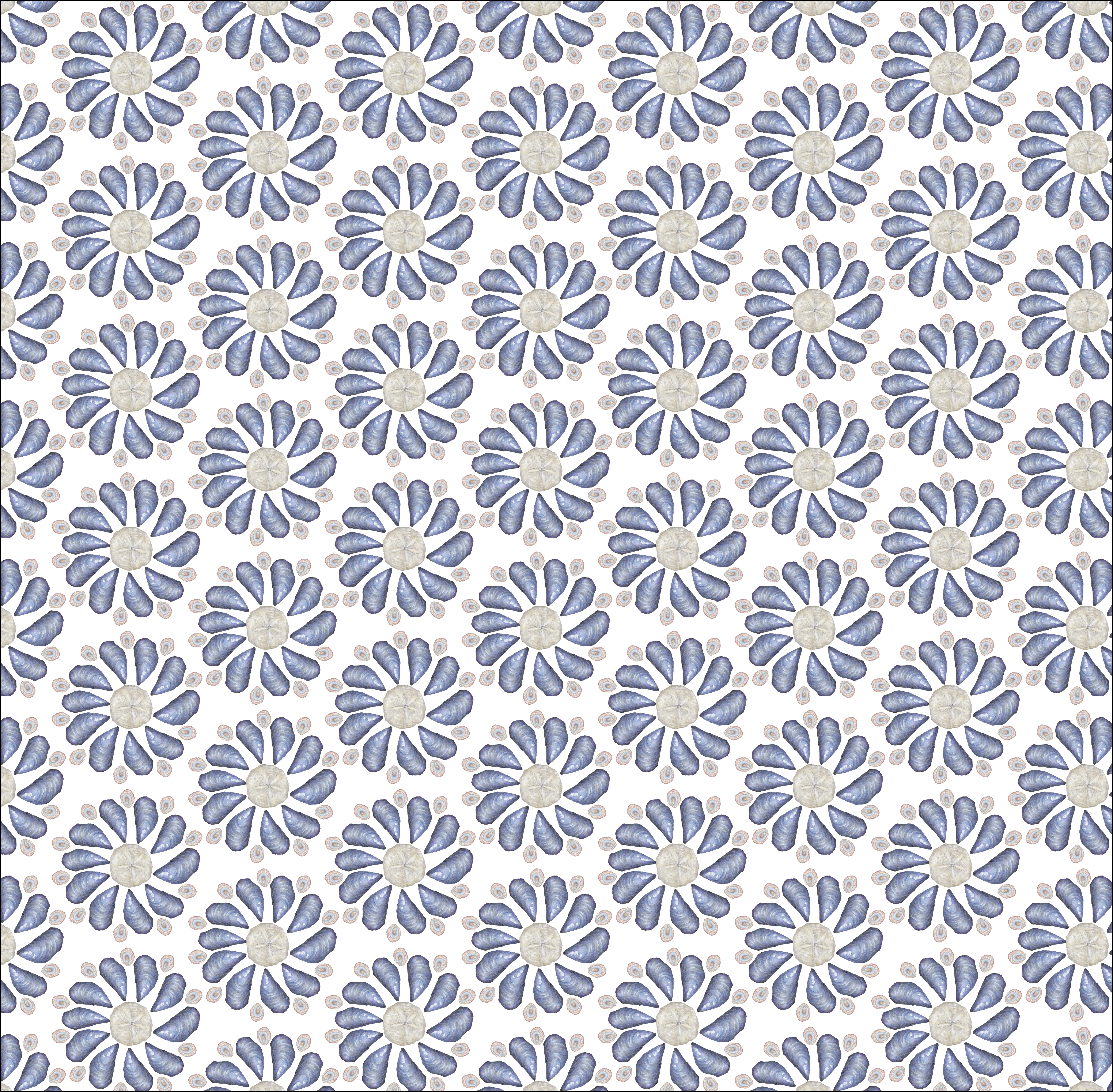 Seashell Swirl