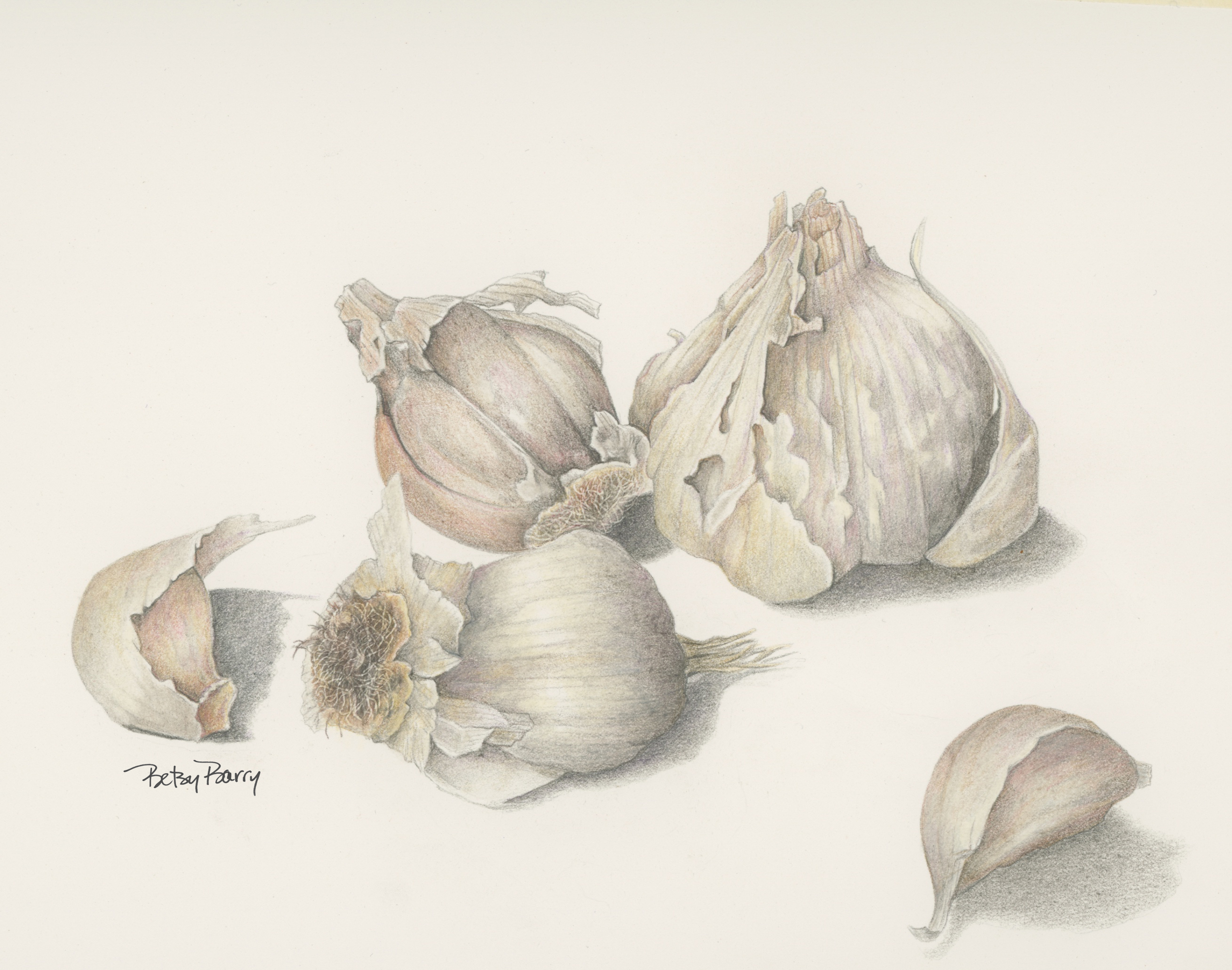 Garlic