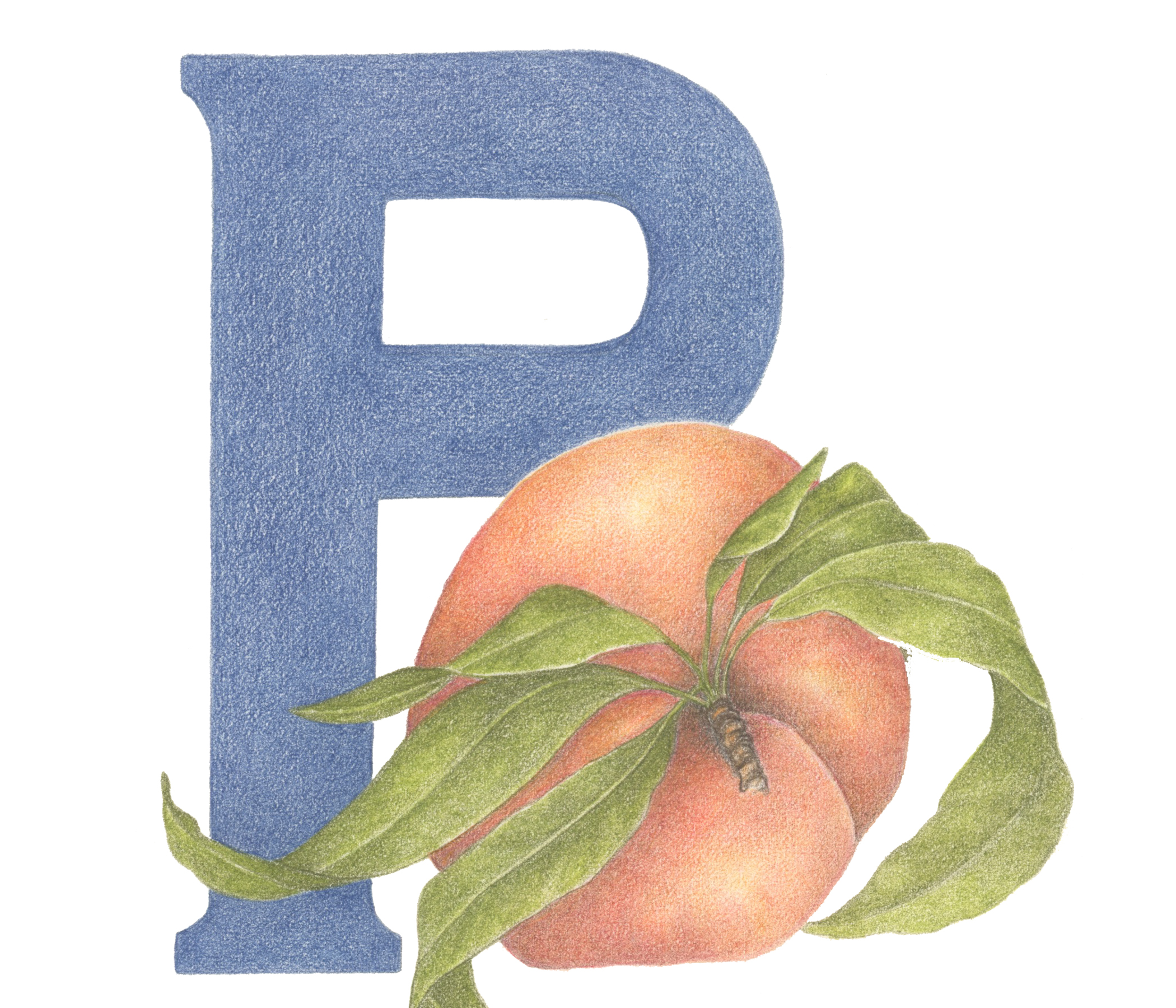 P for Peach