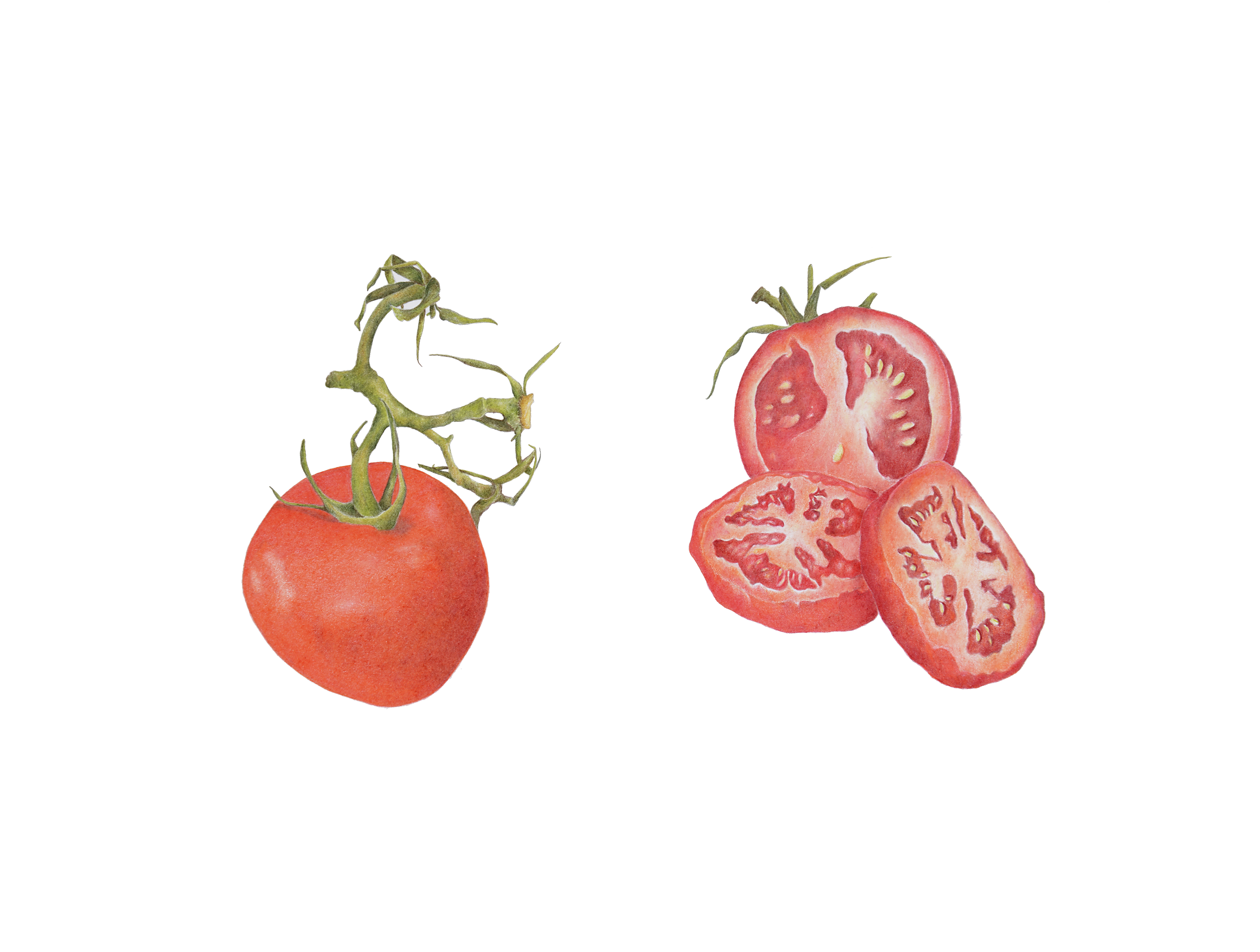 Tomatoes