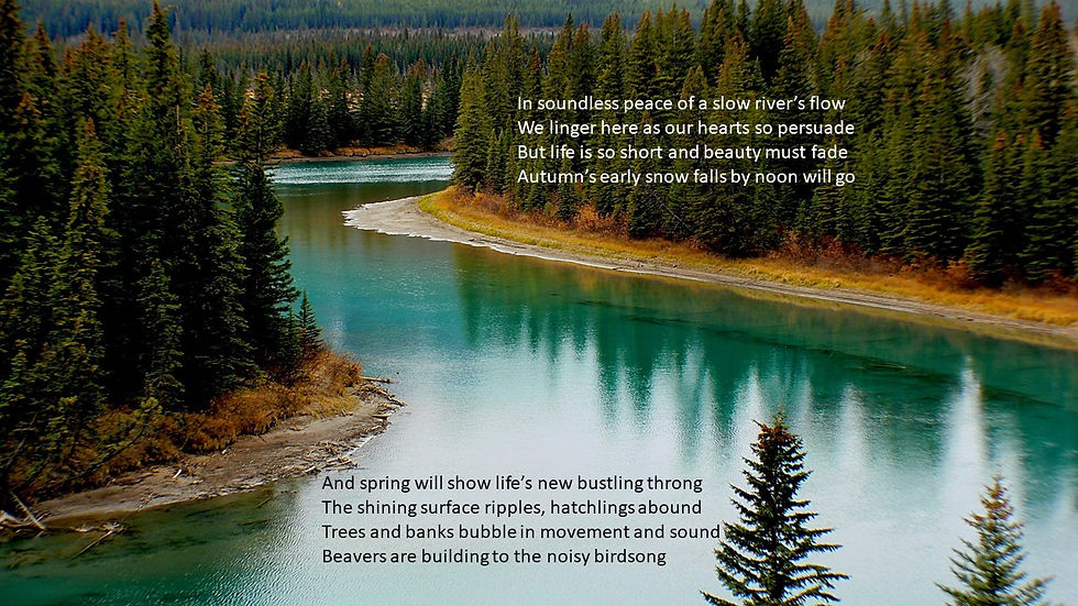 slow river