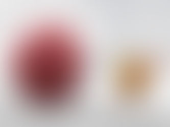 Weiterer Ausbruch der Vogelgrippe in einem Nutzgeflügelbetrieb