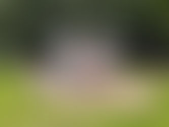 Im Visbeker Park fühlen sich alle Generationen wohl