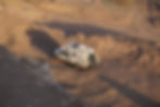 Ford F250 Camper in der Atacama Wüste