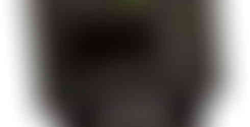 VAN Power 3000W Anzeigedisplay