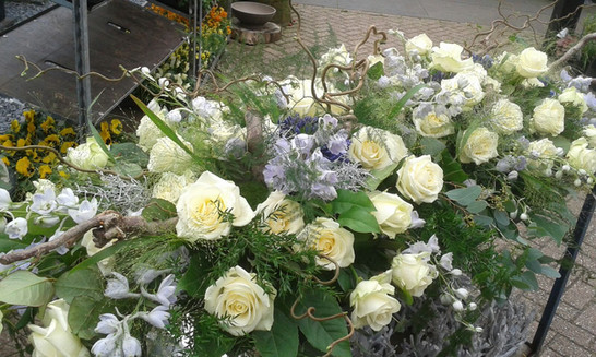 G. & A. Hooijman | Bloemen & Planten