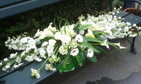 G. & A. Hooijman | Bloemen & Planten