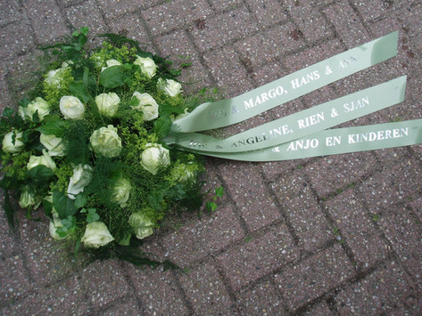 G. & A. Hooijman | Bloemen & Planten
