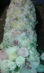 G. & A. Hooijman | Bloemen & Planten