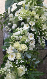 G. & A. Hooijman | Bloemen & Planten