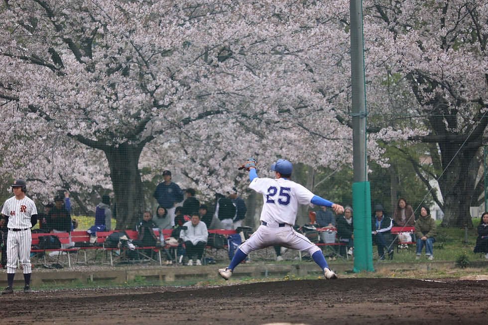 桜散る中9回完封の花の慶次こと佐竹慶次朗
