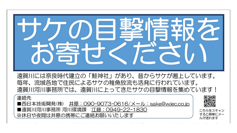 令和8年度遠賀川水系サケ遡上調査（サケの目撃情報をお寄せください）