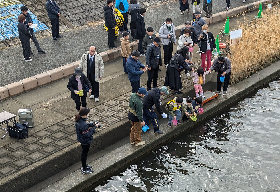 サケの放流会