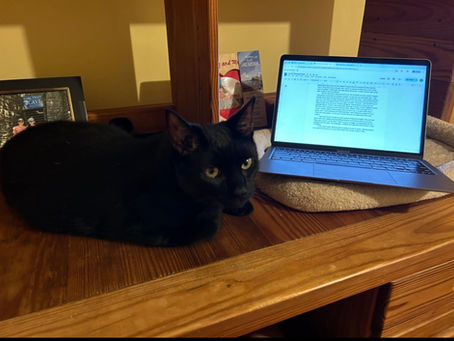 Autism and the Culture of Publishing