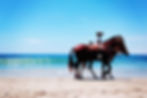 Soulfood London | Horseriding