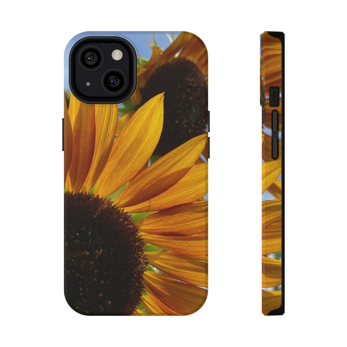 Impact-Resistant Cases