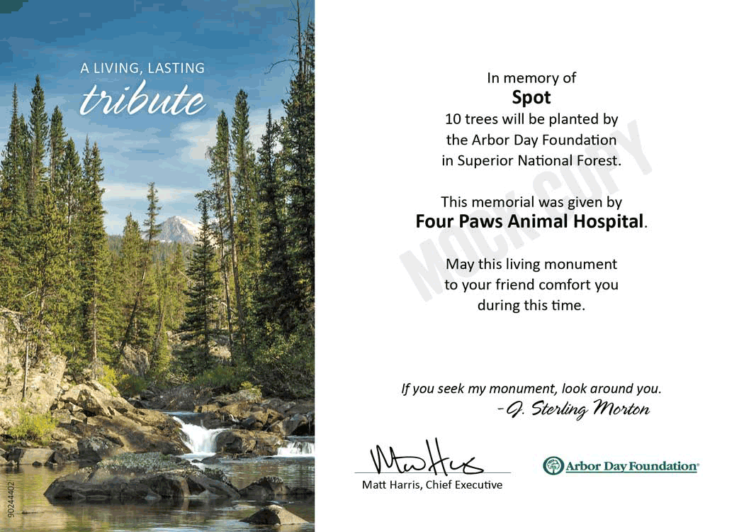 Plant trees for pets