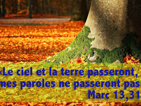 33e dimanche ordinaire – 17.11.2024