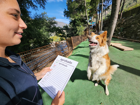 Evaluacion previa a cada huesped en Petting Lodge