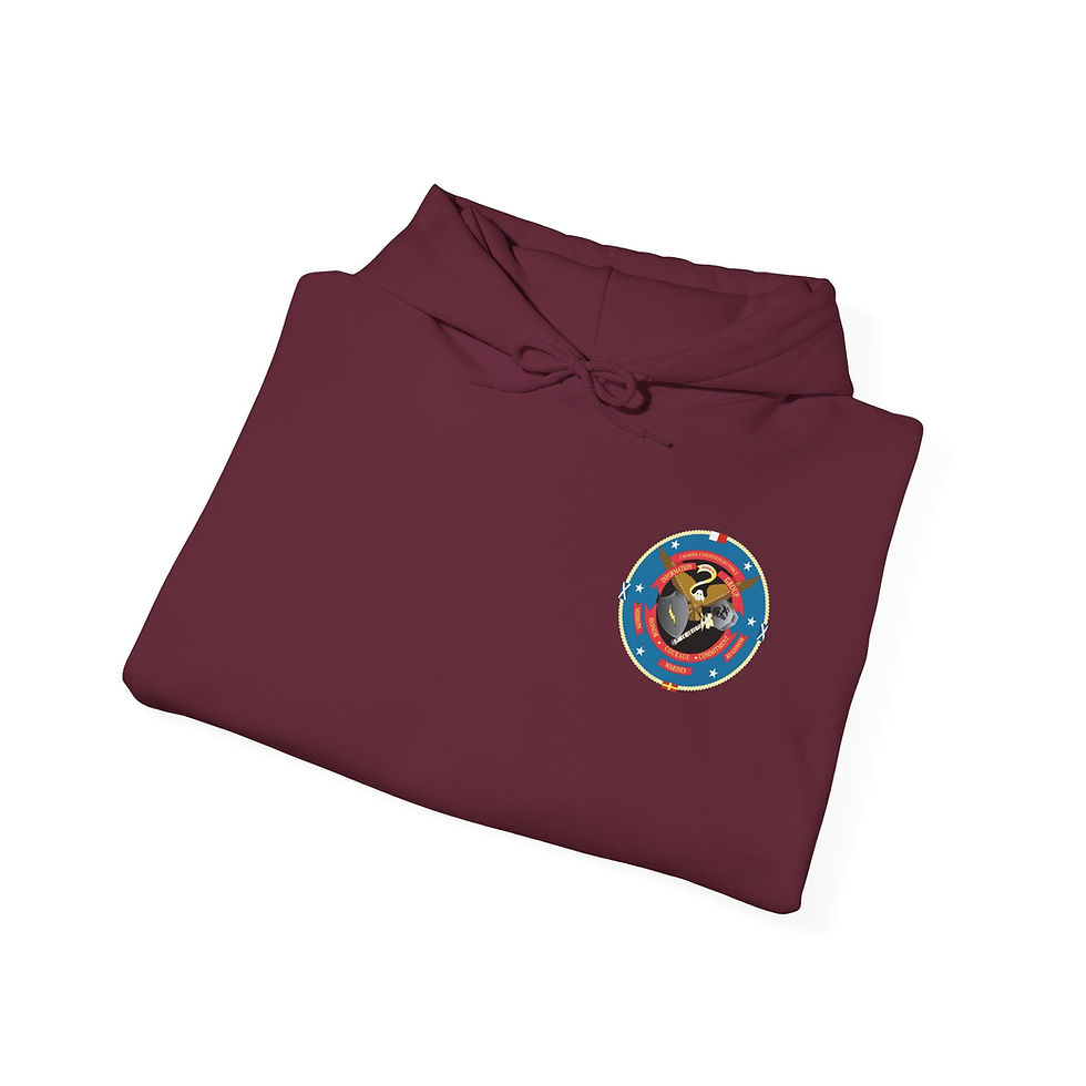 Thumbnail: 1ST RAD BN (1st Radio Battalion), I MIG, Marine Corps Hoodie
