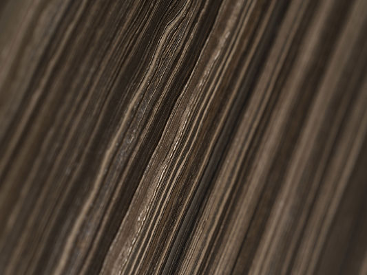 AM-ADV-14 copia.jpg