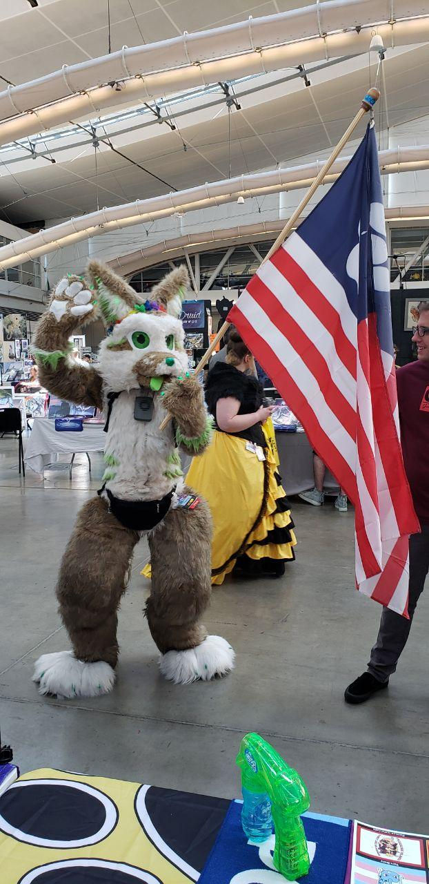 Thumbnail: Furry Country Flags