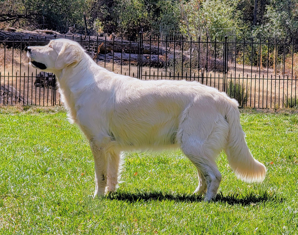 Nala Mudd removed_edited.jpg