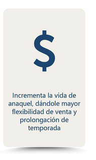 Beneficios
