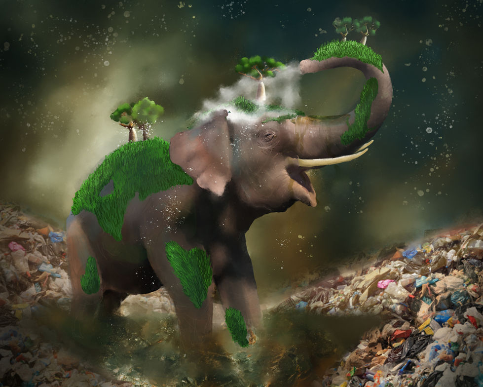 The Last Oasis (Honorable Mention/ art award)