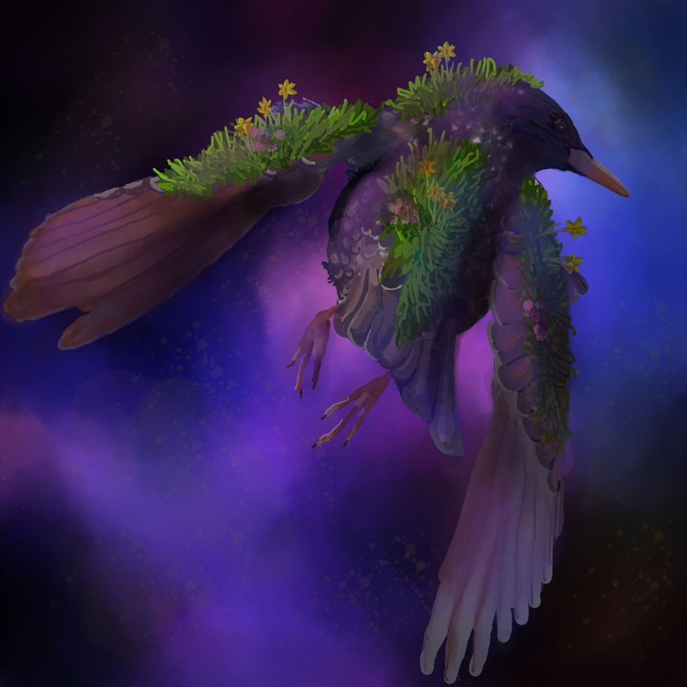 Wings of Displacement