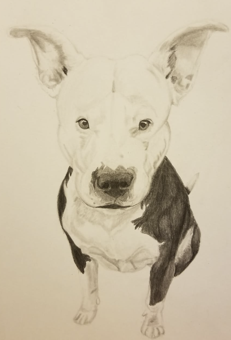 Puppy