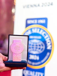 Editorial image by Photograika capturing emotional stillness and movement through vintage-inspired fashion photography