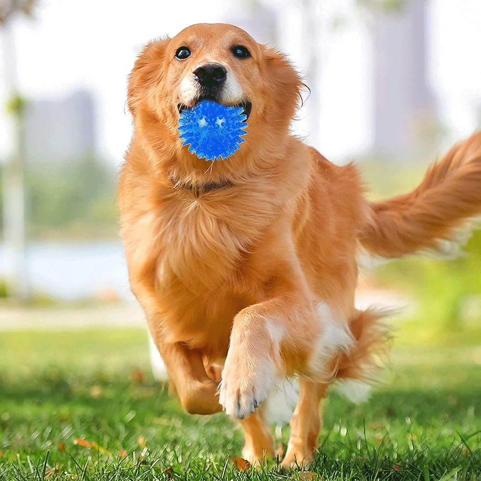 Thumbnail: 3/6Pcs Squeaky Dog Ball Toys,Dog Chew Balls for Boredom, Floatable Pool Dog Toys