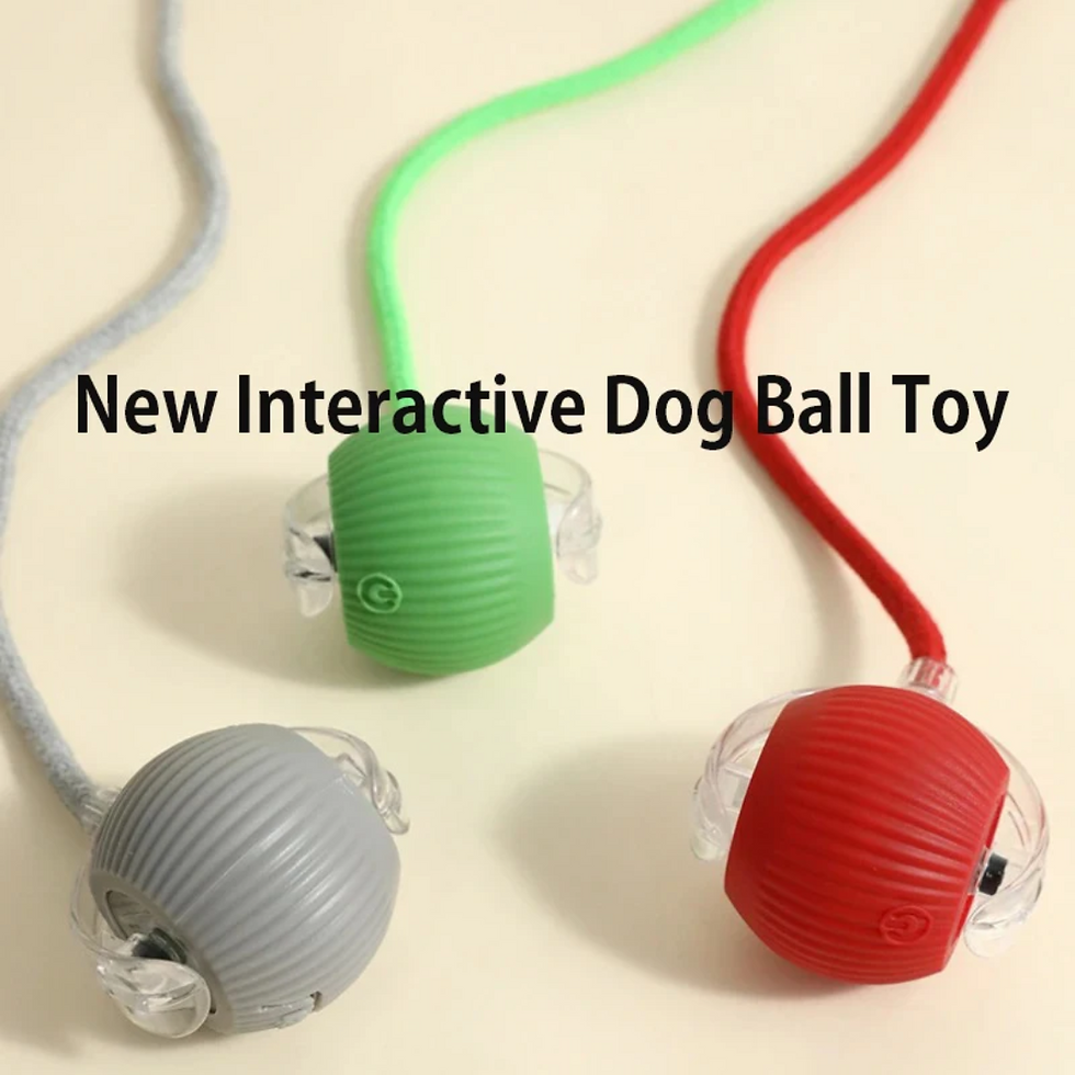 Thumbnail: New Dog Interactive Ball Toy,Automatic Rolling Dog Ball Rechargeable,Smart Puppy
