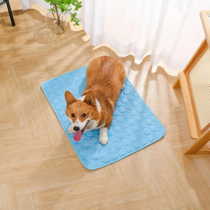 Thumbnail: Pet Ice Mats Cooling Summer Cat Dog Blanket Sofa Bed Sleeping Pad for Dogs Puppy