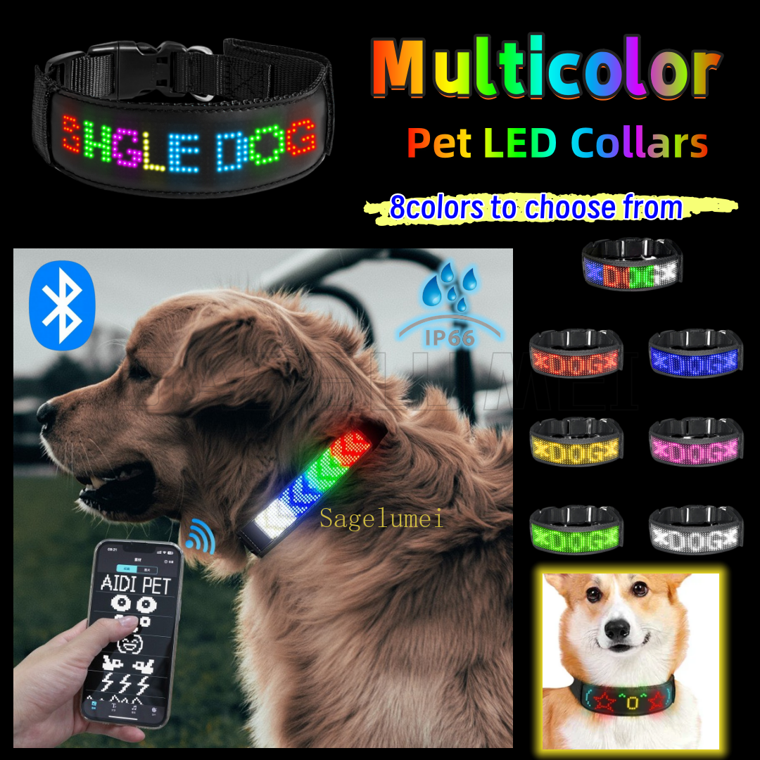 Keep Your Dog Safe at Night – LED Collar with Custom Name Display