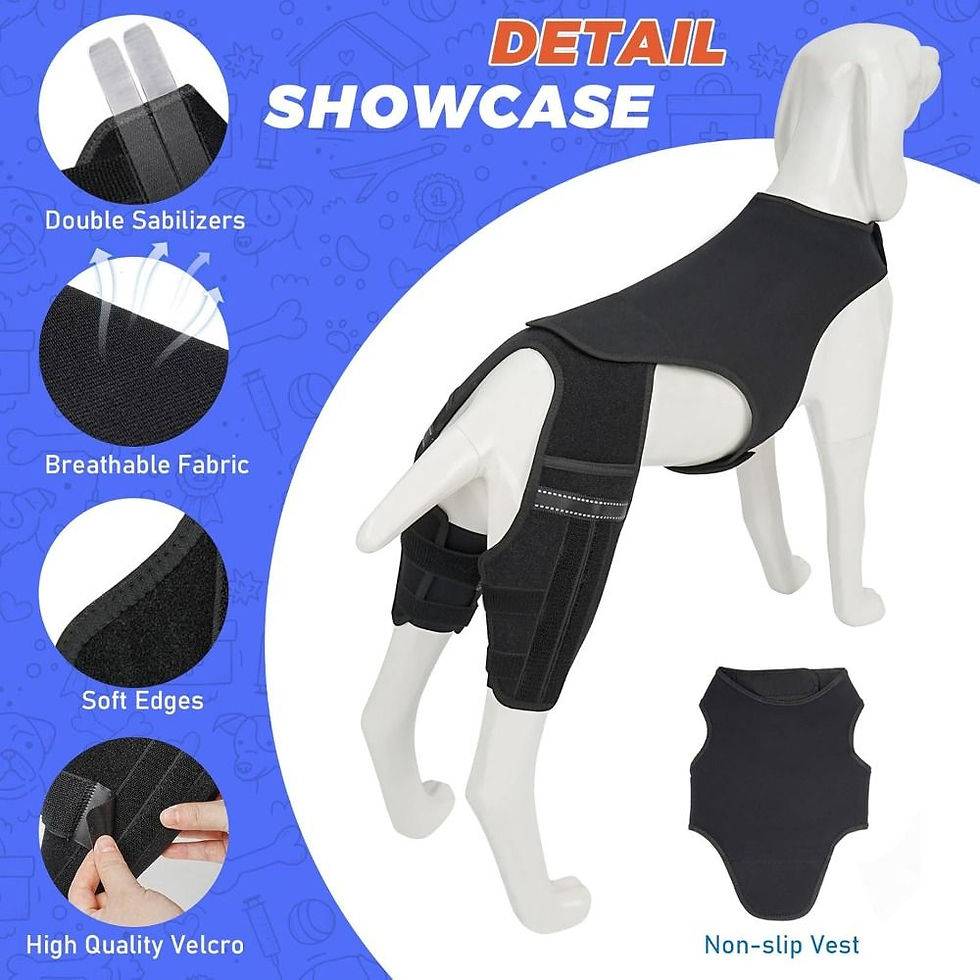 Thumbnail: Adjustable Dog Knee Brace Durable Breathable Leg Support Bracket Reflective Desi