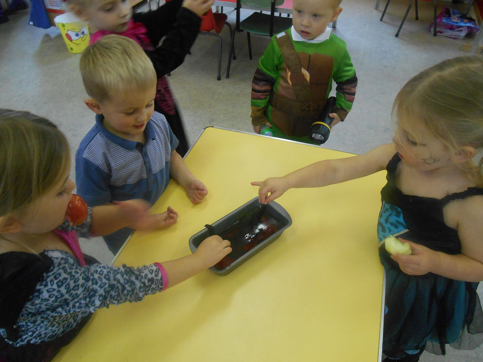 DSCN1613.JPG