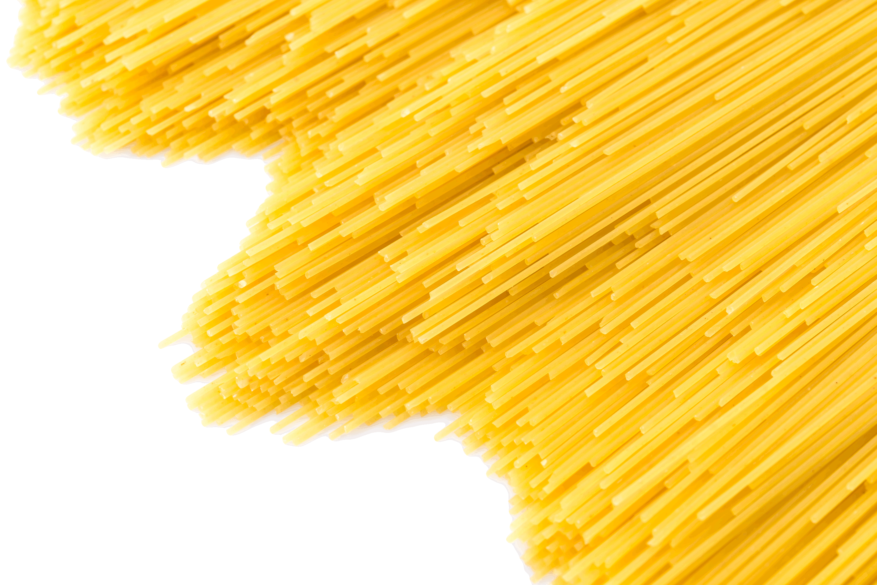 pasta-isolated-on-white-background_pequeno_sem fundo_Fundo foto criado por lifeforstock -