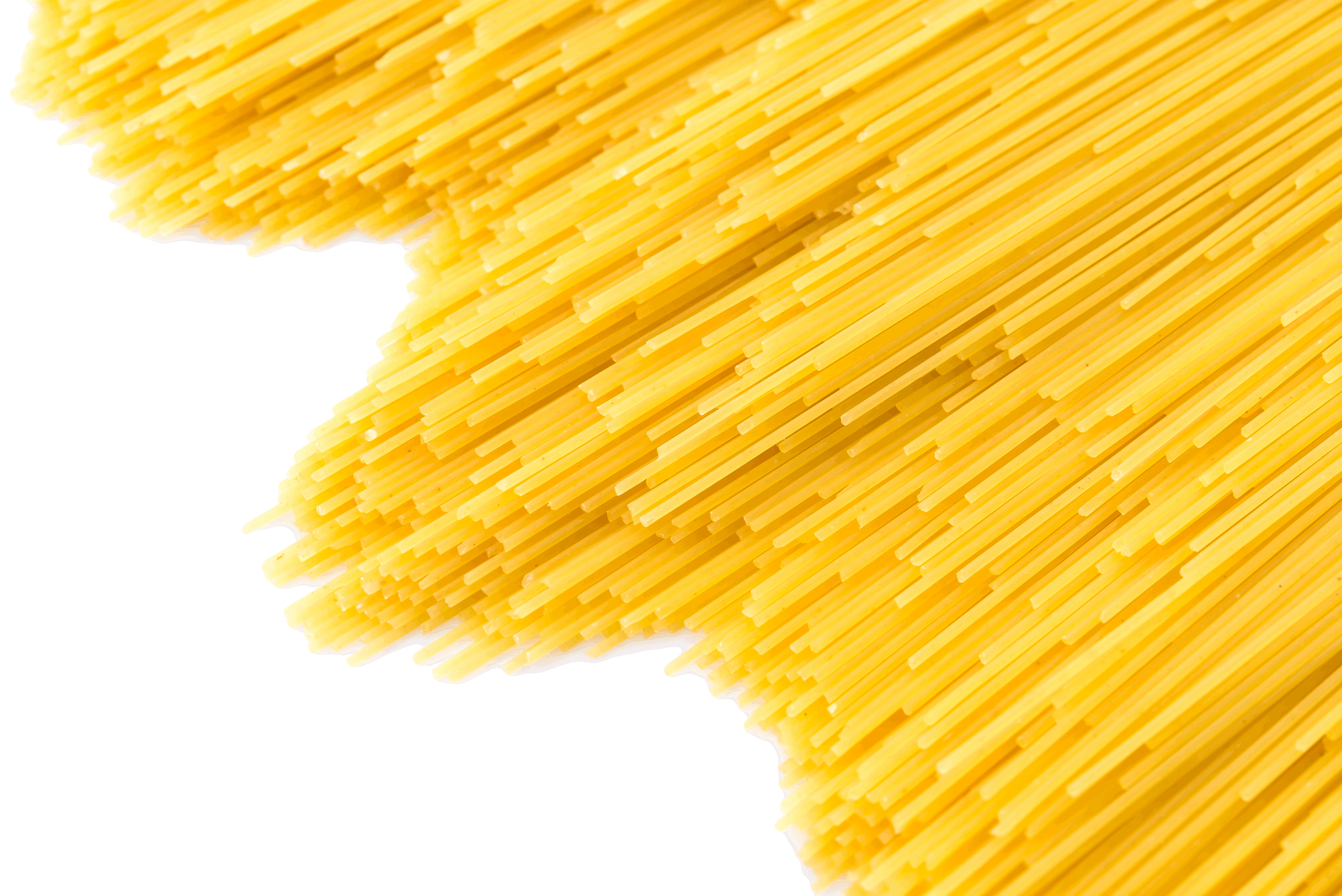 pasta-isolated-on-white-background_pequeno_sem fundo_Fundo foto criado por lifeforstock - 