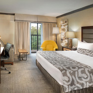 crowne-plaza-resort-asheville-4161706914